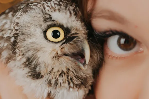 Kazino Fever Bingo Atbalsts